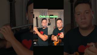 Cheia de manias cheiademanias shortsviral foryou pagode cavaco flute fouryoupage [upl. by Oderf]