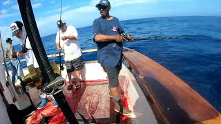 Bluefin Tuna Highliner Sportfishing Limits End of July 2 Day 976 Tuna [upl. by Ailecra]