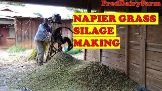 NAPIER GRASS SILAGE MAKING [upl. by Atem]