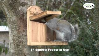 The Wildlife World Squirrel Feeder product in use [upl. by Arret786]