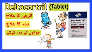 Deltacortril Tablets5mg Prednisolone Tablet Uses Side Effects Urdu Hindi PharmacyD [upl. by Annyl]