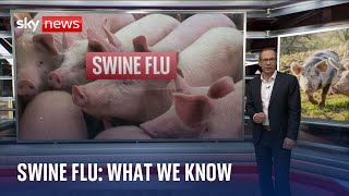 Swine flu What we know about AH1N2v  the new strain found in person in UK [upl. by Leimaj]