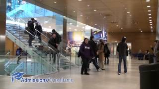 NYU Stern Admissions Profile [upl. by Debi414]