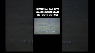 Rare footage of a Bigfoot in Washington state filmed on Memorial Day in 1996 bigfoot sasquatch [upl. by Batruk]