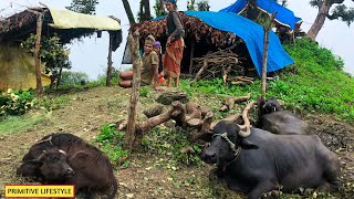 Beautiful Nepali Mountain Village Simple Happy Lifestyle  Rural Nepal Quest  Nepali Village Life [upl. by Opaline]