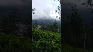 Wassata☄️♥️ lassnma nuwara😝 eliya subscribe karamu [upl. by Vere]