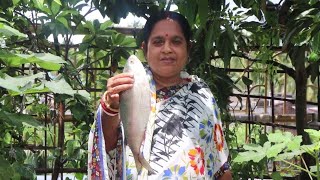 ইলিশের তেল ঝাল  Hilsa Fish Recipe [upl. by Elvin]