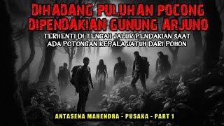 Dihadang Puluhan Pocong di Pendakian Gunung Arjuno  Antasena Mahendra Pusaka Part 1 [upl. by Nylehtak]