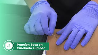 Punción seca en cuadrado lumbar [upl. by Orman]