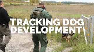 Tracking Dog Development for Law Enforcement [upl. by Yesdnyl454]