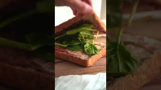 ULTIMATE Brie Sandwich shorts ASMR [upl. by Ammeg]