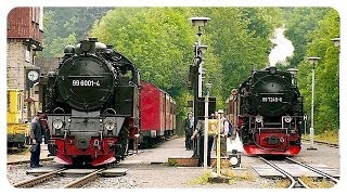 Die Selketalbahn 2004  Harzer Schmalspurbahn  Narrow Gauge Railway [upl. by Aneladgam]