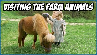 Fun Farm Animals  Cute Cows Pigs and More  Compilation [upl. by Nelyahs]