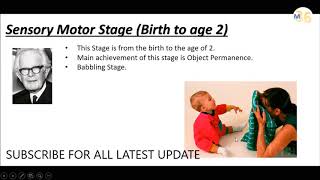 Sensory Motor Stage by Piaget  KVS DSSSB DEd Teaching [upl. by Nitaj]