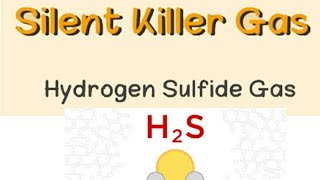 Hydrogen Sulfide H2S amp Silent killer gas [upl. by Jania]