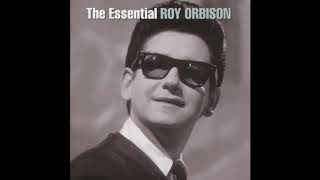 Roy Orbison  I Drove All Night [upl. by Danie856]