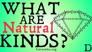 What are Natural Kinds Philosophical Definition [upl. by Helbonna555]