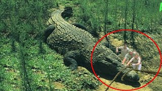 10 Abnormally Large Crocodiles That Actually Exist [upl. by Conni]