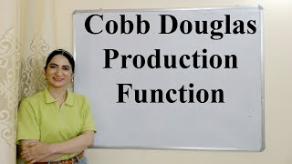 Cobb Douglas Production Function [upl. by Llertak]