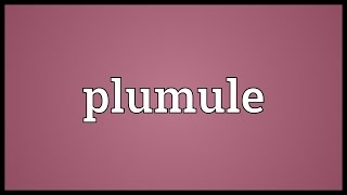 Plumule Meaning [upl. by Jarrett]