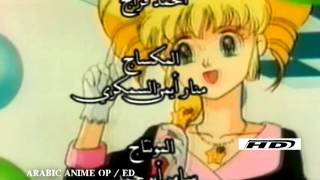 شارة إيروكا  لن أعود للوراء  Idol Densetsu Eriko  ARABIC ENDING [upl. by Atsugua752]