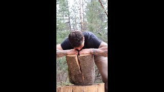 Haters will say it was already cracked 😂 wood woodsplitting shorts [upl. by Hausmann35]