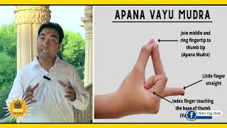 Apana Vayu Mudra Janiye Silent Attack Se Kaise Bache attack heartattack cure precaution [upl. by Semele]