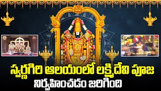 Lakshmi Devi Pooja In Swarnagiri Temple  Swarnagiri Venkateswara Swamy Temple  QubeTV Devotional [upl. by Eidur]