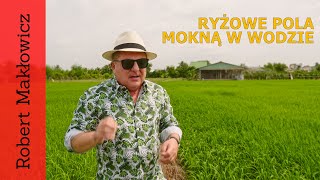 ROBERT MAKŁOWICZ WIETNAM odc171 „Ryżowe pola mokną w wodziequot [upl. by Neerual]