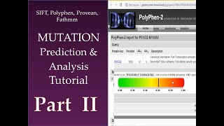 Mutational Prediction amp Analysis Tutorial PART 2 [upl. by Arch]