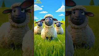 Baba Black Sheep Cartoon babablacksheep kidscartoon kidssongs rhymes [upl. by Hallock579]