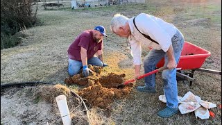 ADDING FRUIT TREES TO OUR FOOD FOREST CREATING FOOD SECURITY ON A BUDGET usda zones 8 9 10 amp 11 [upl. by Elocal562]