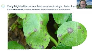 Webinar 18  Phytophthora Infestans Late Blight  Albert Schirring [upl. by Orji]