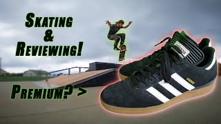 The Best Skateboarding Shoe Busenitz Pro Full Shoe Review [upl. by Dragelin]