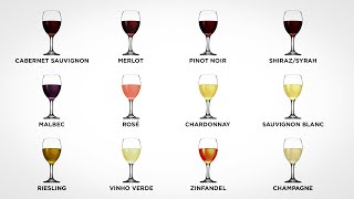 Every Wine Explained in 10 minutes Part 1 [upl. by Pease70]