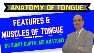 ANATOMY OF TONGUE  FEATURES amp MUSCLES [upl. by Rustice363]