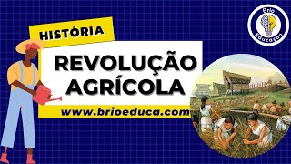 História Período Neolítico e Revolução Agrícola  Brio Educação [upl. by Ffoeg]