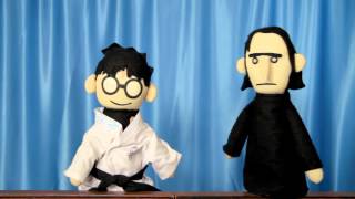 Potter Puppet Pals Short Martial Arts [upl. by Jairia]