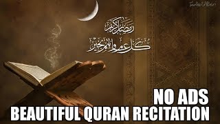 Beautiful Quran Recitation  10 Hours  No Ads [upl. by Blandina]