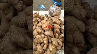 Potato🍠 essential for Chhath माईया Puja 🌺Fatok Bazar🌻 Silchar💐Shiv baba 🙏Please subscribe 🍇like [upl. by Enniroc]