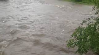 Lincoln Creek Parkway nearly flooded over during Mondays downpours [upl. by Husch]