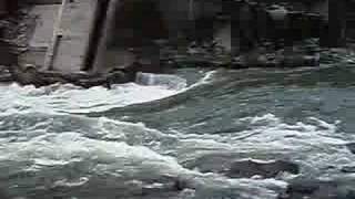 Hells Gate Fraser River BC Jet Boating HCM 22 [upl. by Yaker]