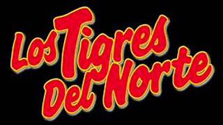 Los tigres del Norte eres mi Buena Suerte [upl. by Lodmilla879]