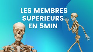 LES MEMBRES SUPERIEURS EN 5MIN [upl. by Bendick]