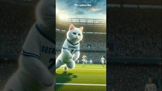 Cat football match cat football shorts viralshorts [upl. by Rettig]