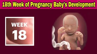 18th Week of Pregnancy Symptoms Changes amp Baby Development  18th Week of Pregnancy in telugu [upl. by Thorner]