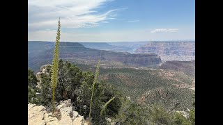 Jacob Lake Crazy Jug overlook North Rim Grand Canyon [upl. by Boggers]