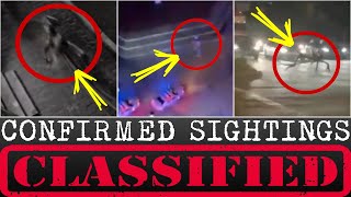 Miami Alien Incident CoverUp Confirmed Witnesses SILENCED By Cops MUST WATCH [upl. by Boycie673]