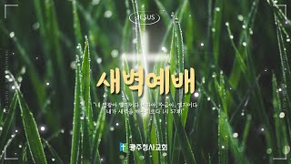 광주청사교회 매일 새벽예배월금  20240517 [upl. by Zannini]