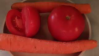 Making Salad tomatoes carrots lettuce dinner livestreaming [upl. by Rhpotsirhc707]